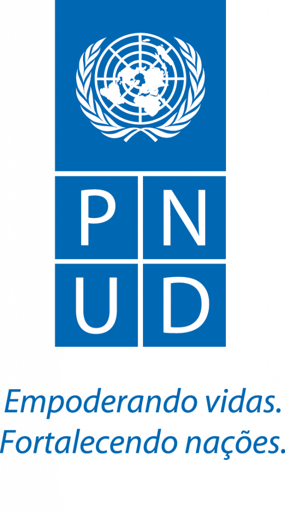 logo PNUD